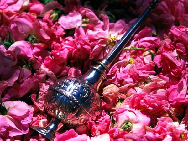 دانستنی هایی در مورد گلاب با کیفیت 